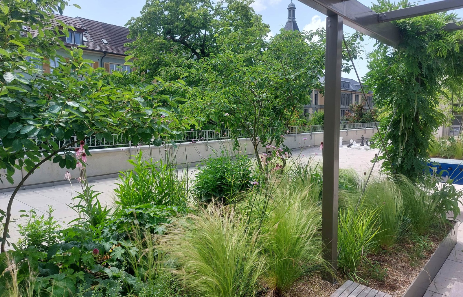 Neugestaltung Dachterrasse Schulanlage Spitalacker