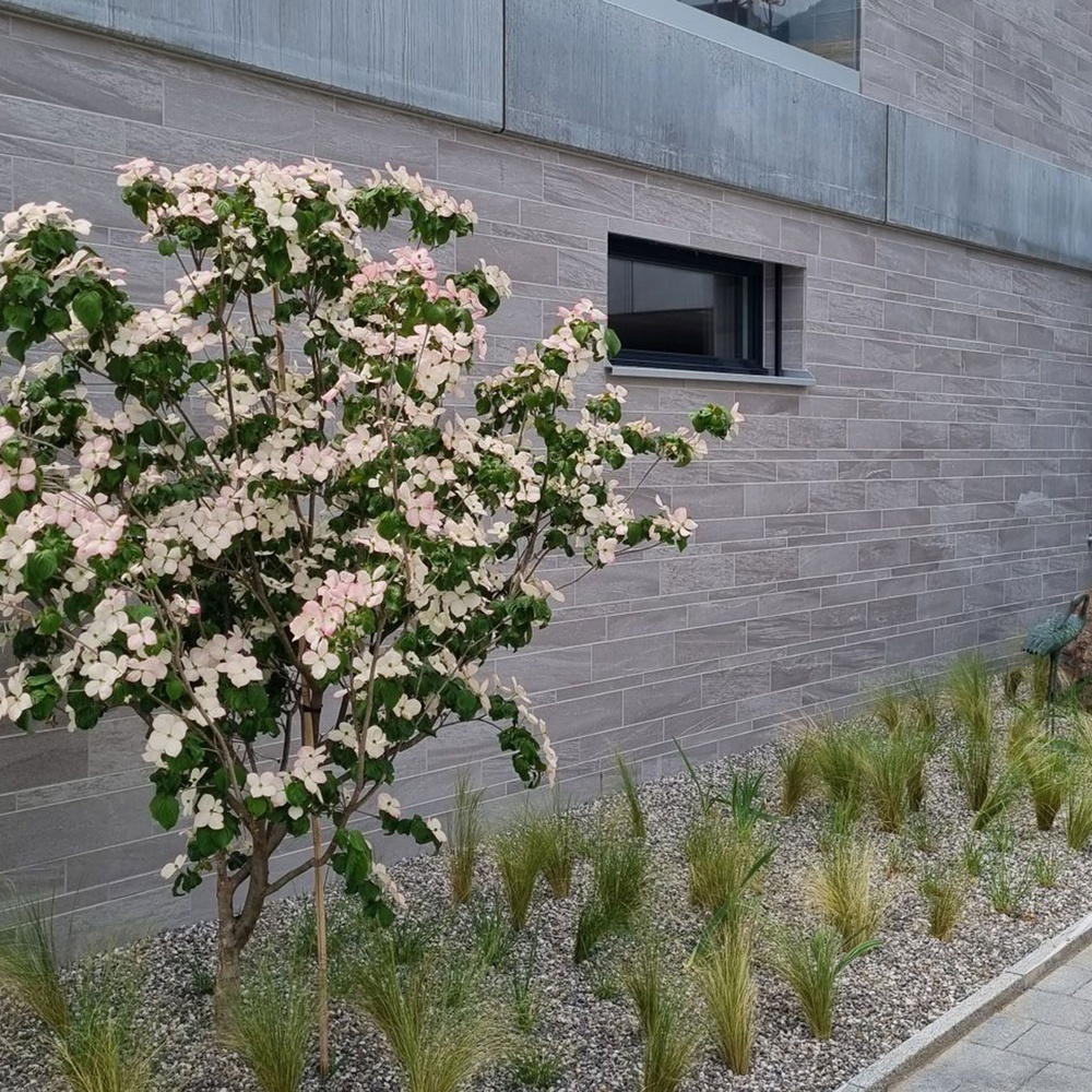 Planung und Realiserung Garten