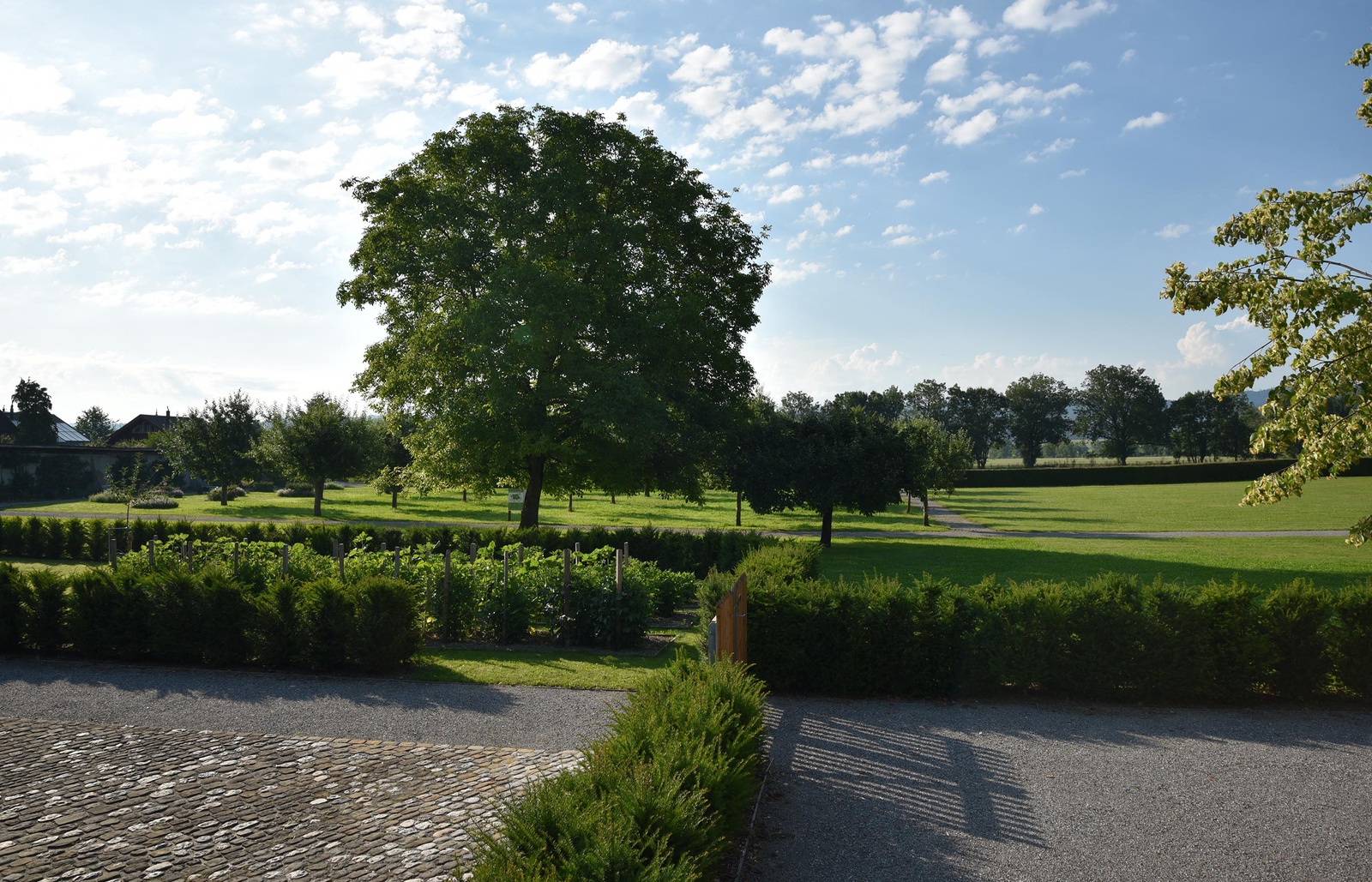 Sanierung und Gartenunterhalt Schlosspark Jegenstorf