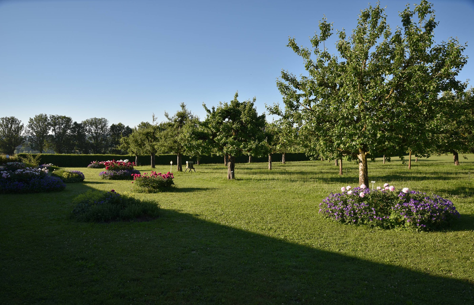 Sanierung und Gartenunterhalt Schlosspark Jegenstorf